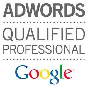 adwords professionnel 1