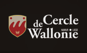 Le Cercle de Wallonie et ProduWeb projettent de lancer une nouvelle chaîne TV